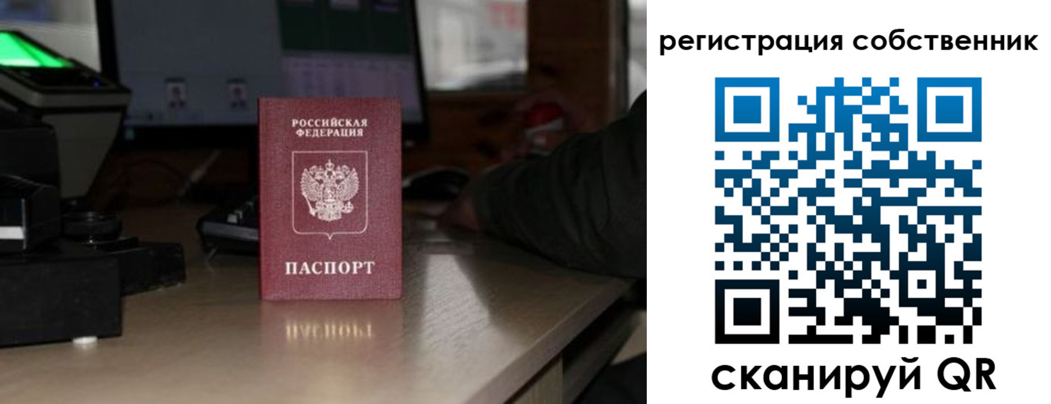 прописка поиск в Калмыкии